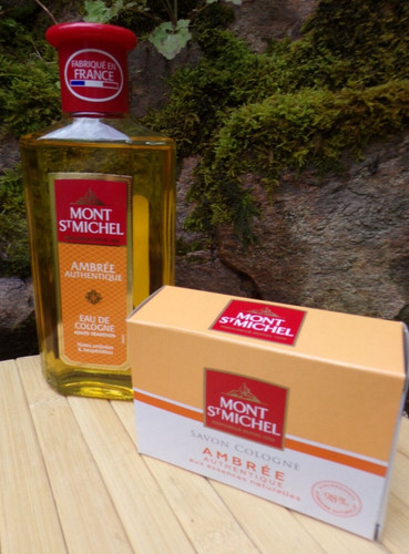 Lot mont michel ambree - mont,